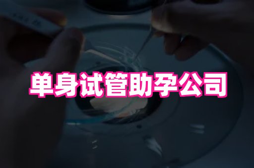 贵州助孕网站 2