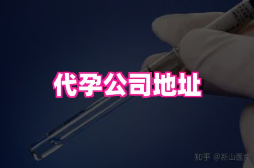 贵州助孕网站 3