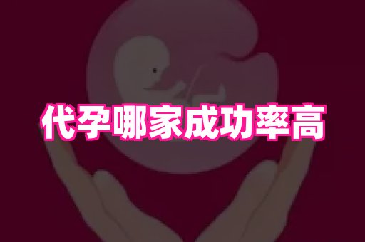 贵州助孕网站 4